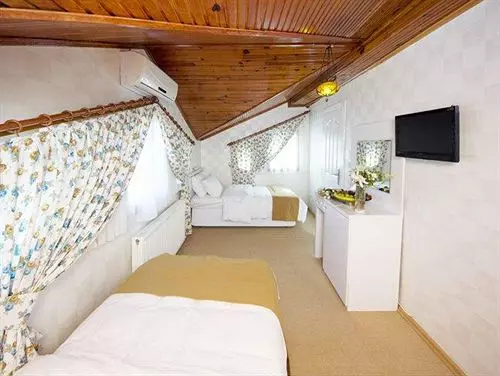 Fotos del hotel Ottoman Tulip:  14