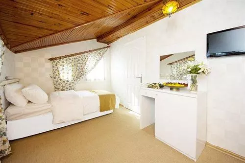 Fotos del hotel Ottoman Tulip:  19