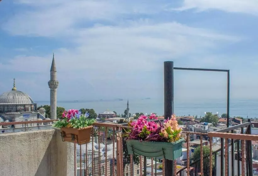 Fotos del hotel Tulip House:  3