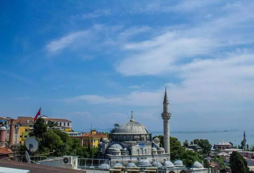 Fotos del hotel Tulip House:  18