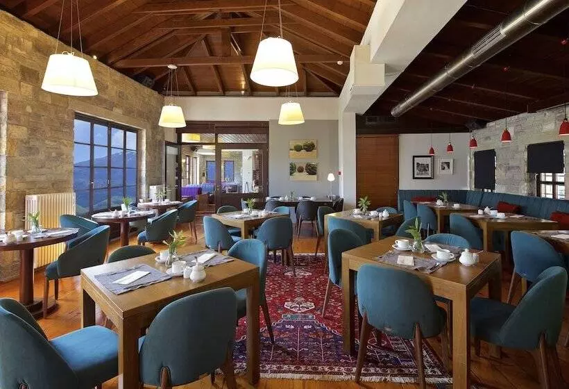 Fotos del hotel Aristi Mountain Resort:  17