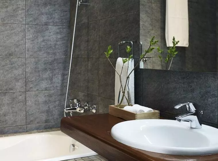 Fotos del hotel Aristi Mountain Resort:  14