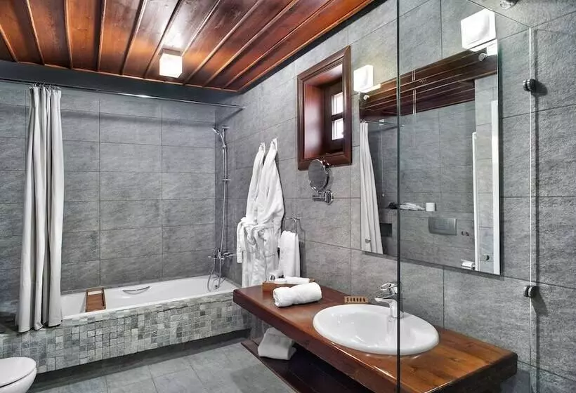 Fotos del hotel Aristi Mountain Resort:  18