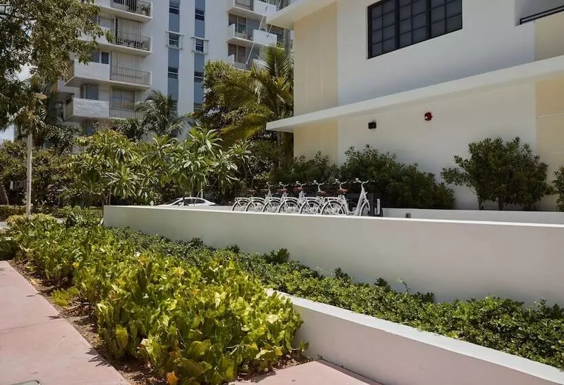 Fotos del hotel Uma House by Yurbban South Beach:  5