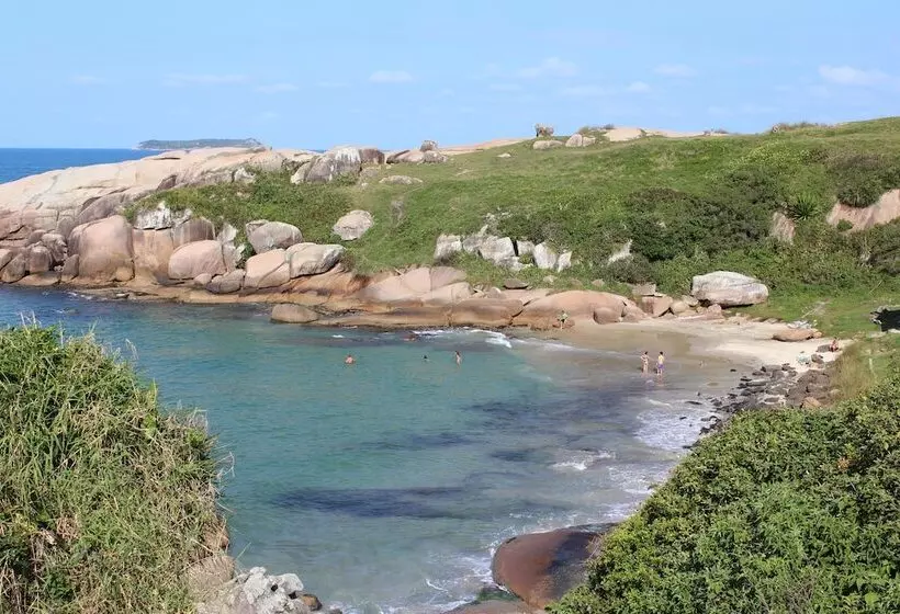 Fotos del hotel Samuka:  5