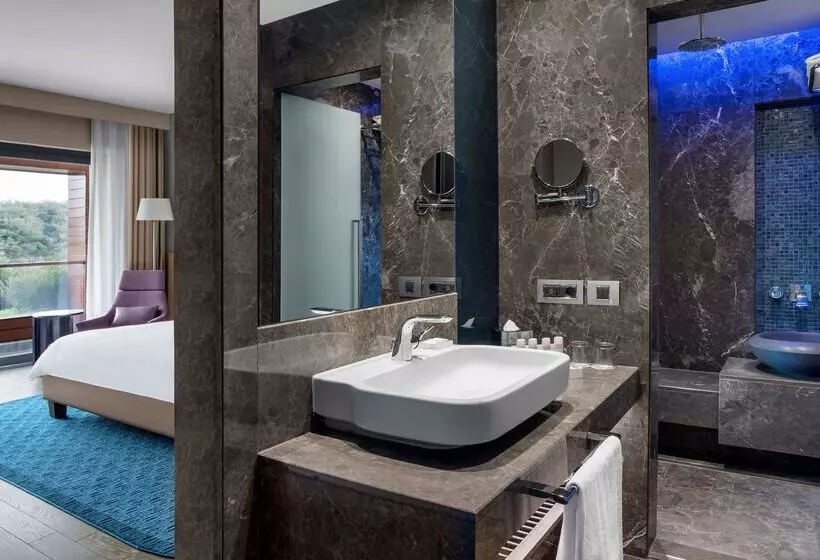 Fotos del hotel Radisson Blu Hotel & Spa, Istanbul Tuzla:  10
