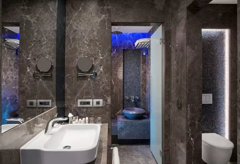 Fotos del hotel Radisson Blu Hotel & Spa, Istanbul Tuzla:  13