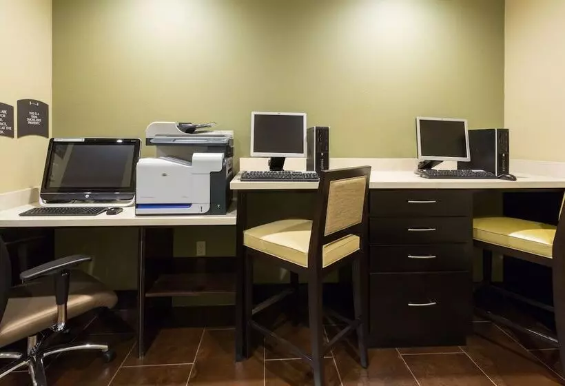 Fotos del hotel Staybridge Suites Atlanta Airport, An Ihg:  23