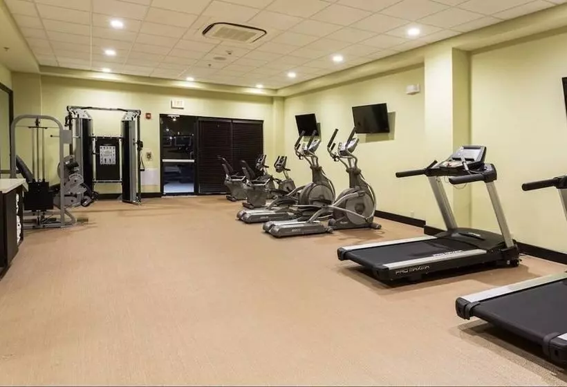 Fotos del hotel Staybridge Suites Atlanta Airport, An Ihg:  4