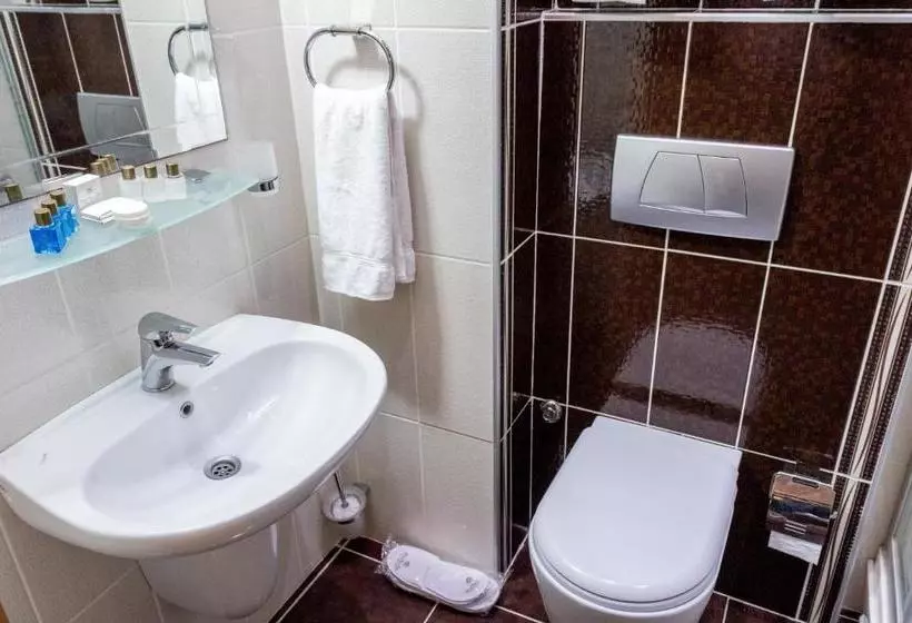 Fotos del hotel Grand Rosa:  6