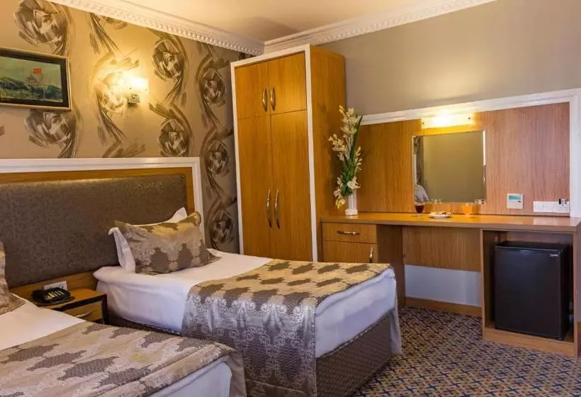 Fotos del hotel Grand Rosa:  8