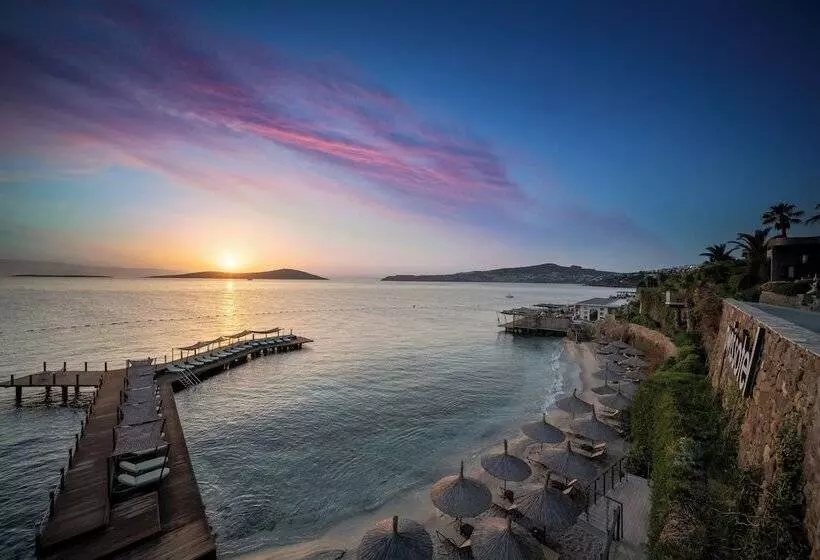 Fotos del hotel Bvs Bosphorus Resort  & Spa:  12