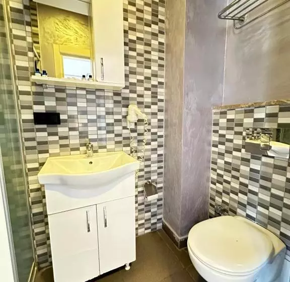 Fotos del hotel Alyon Suite:  7