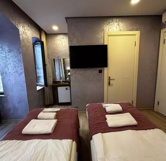 Fotos del hotel Alyon Suite:  21