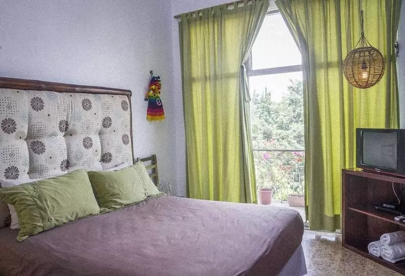 Fotos del hotel Manso Boutique Guest House:  16