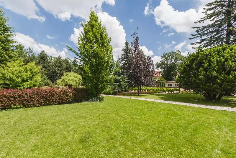 Fotos del hotel Domus Mater:  45