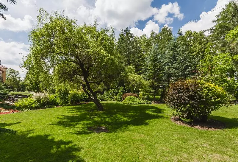 Fotos del hotel Domus Mater:  37