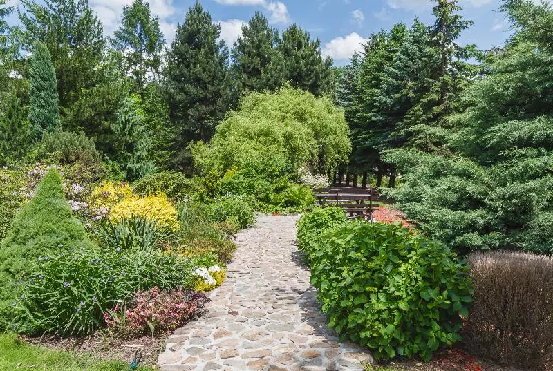 Fotos del hotel Domus Mater:  39