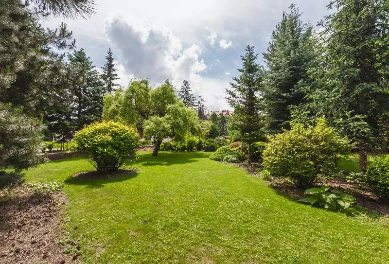 Fotos del hotel Domus Mater:  38