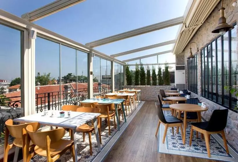 Fotos del hotel Nowy Efendi   Special Category:  12