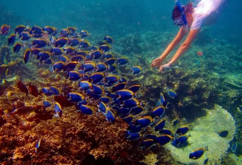 Fotos del hotel Octave Maldives:  3