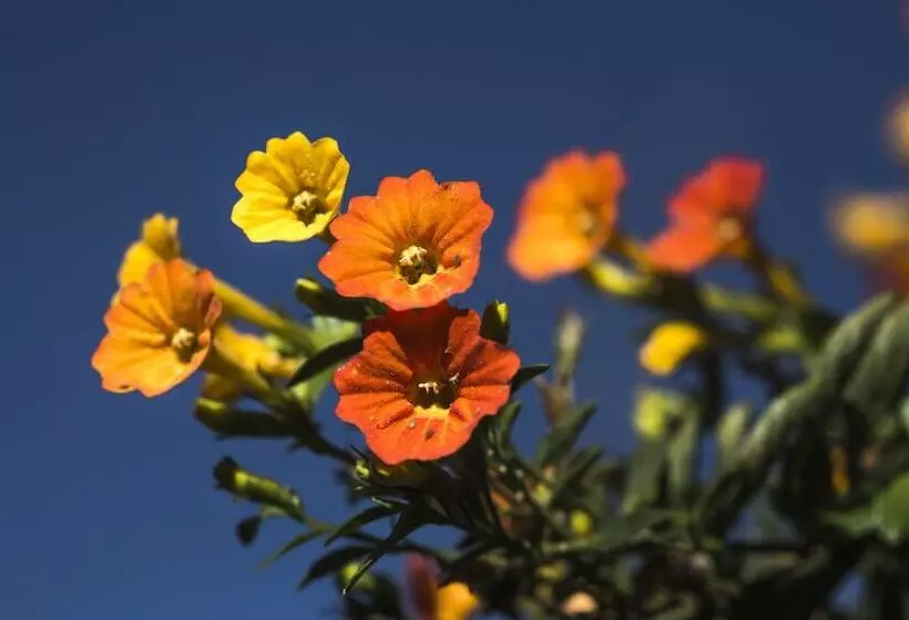 Fotos del hotel Sol Y Luna Relais & Chateaux:  17