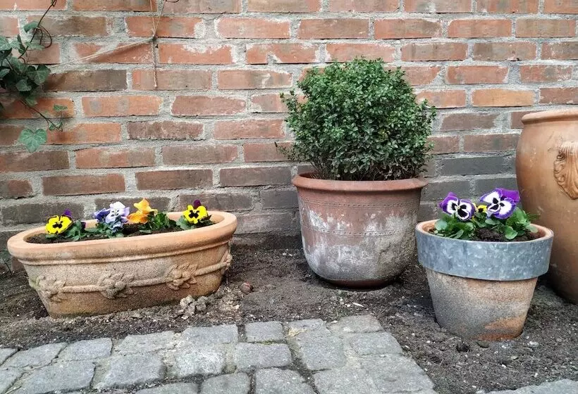 Fotos del hotel Stare Miasto Old Town:  6