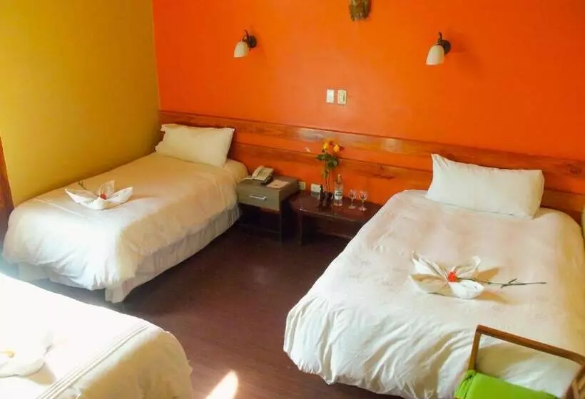 Fotos del hotel La Casona De Palacio Viejo:  5