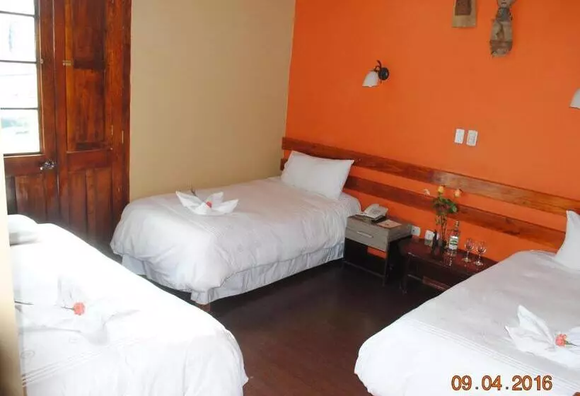 Fotos del hotel La Casona De Palacio Viejo:  9