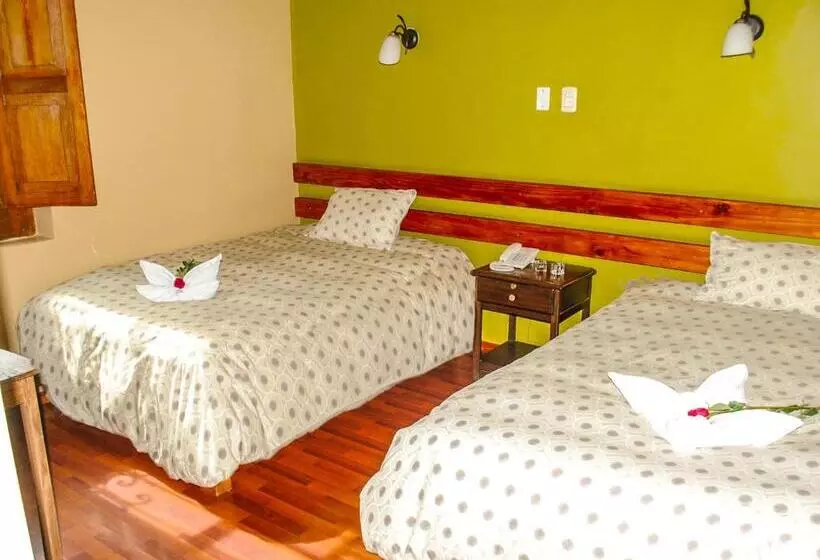 Fotos del hotel La Casona De Palacio Viejo:  11