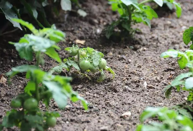 Fotos del hotel Ontur Butik Otel Ankara:  6