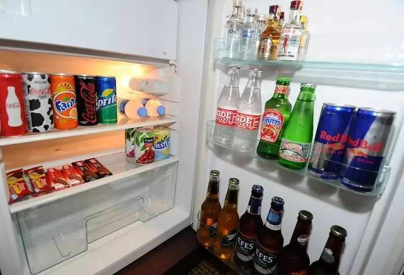 Fotos del hotel Ontur Butik Otel Ankara:  21