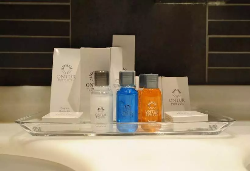 Fotos del hotel Ontur Butik Otel Ankara:  8