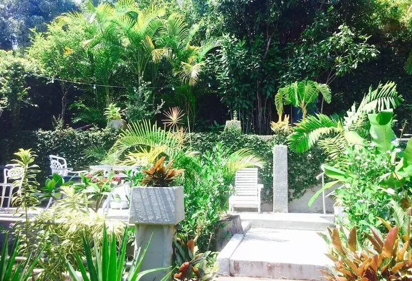 Fotos del hotel Casa Amarelo:  20