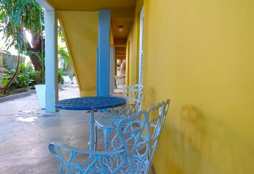 Fotos del hotel Casa Amarelo:  14