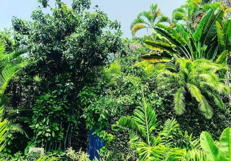 Fotos del hotel Casa Amarelo:  11