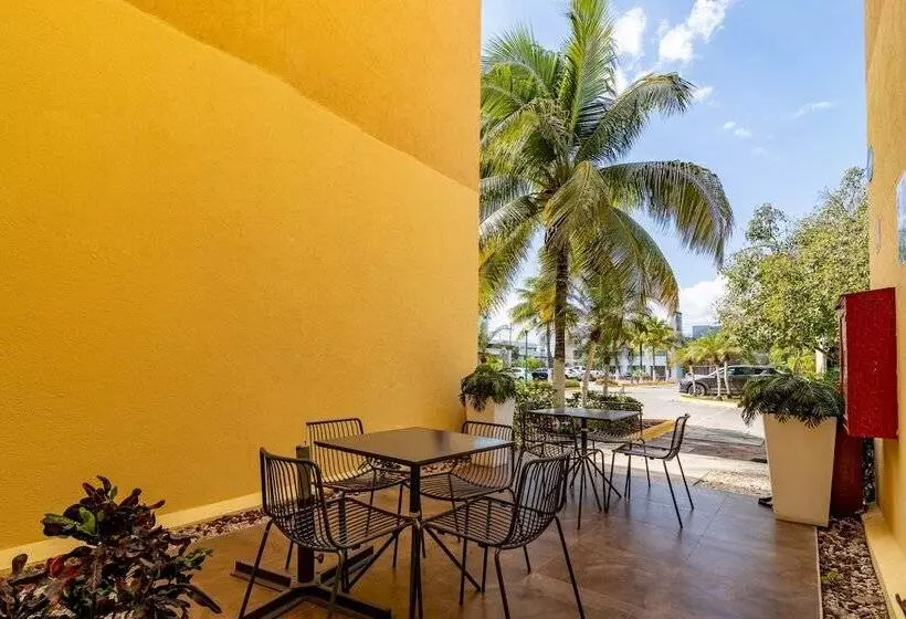 Fotos del hotel City Express Playa Del Carmen:  6