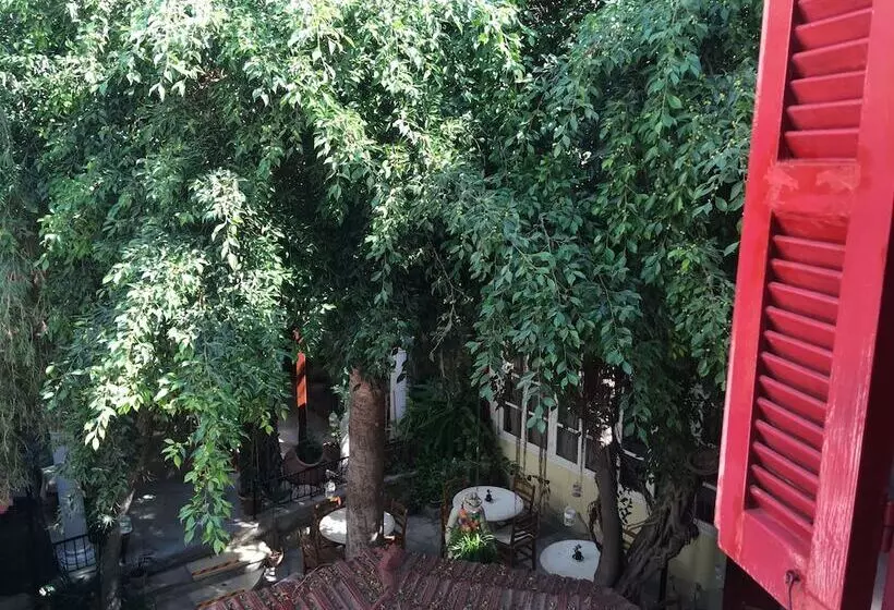 Fotos del hotel Kiniras Traditional Hotel & Restaurant:  5