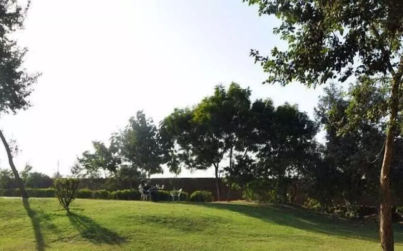 Fotos del hotel Madhu Resorts:  7