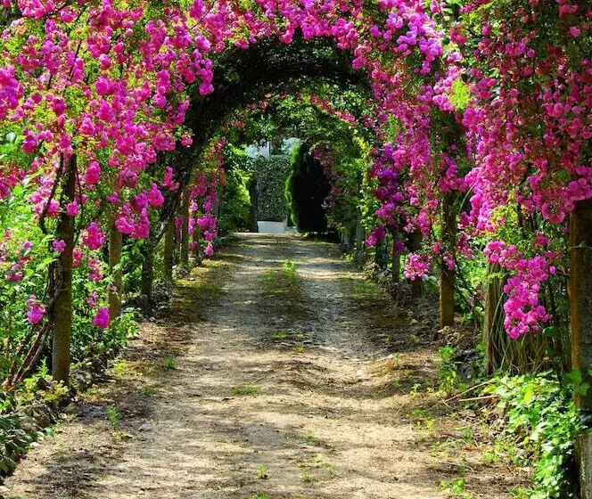 Fotos del hotel Quinta De São Lourenço:  9
