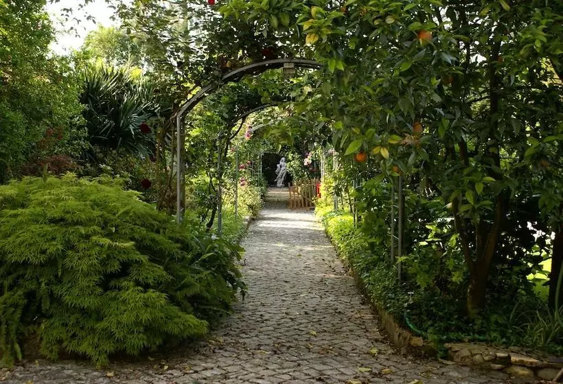 Fotos del hotel Quinta De São Lourenço:  15
