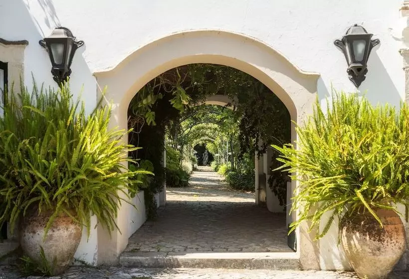 Fotos del hotel Quinta De São Lourenço:  13