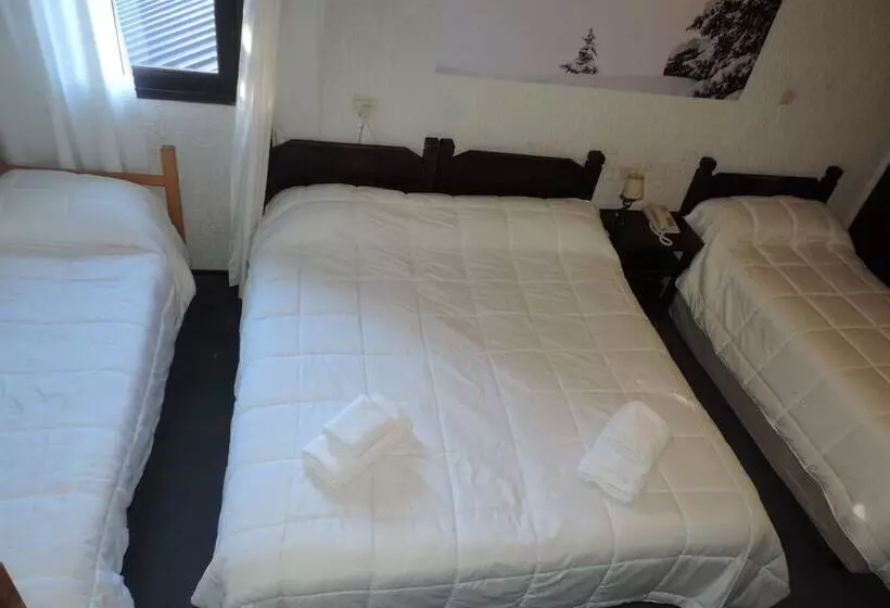 Fotos del hotel Hostería Del Viejo Molino:  9