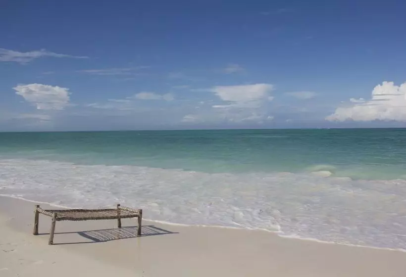 Fotos del hotel Dhow Inn:  13