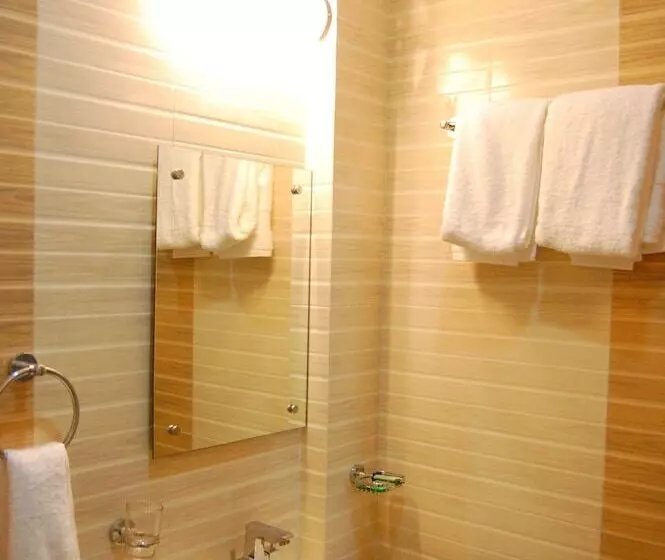 Fotos del hotel Delhi Aerocity:  13