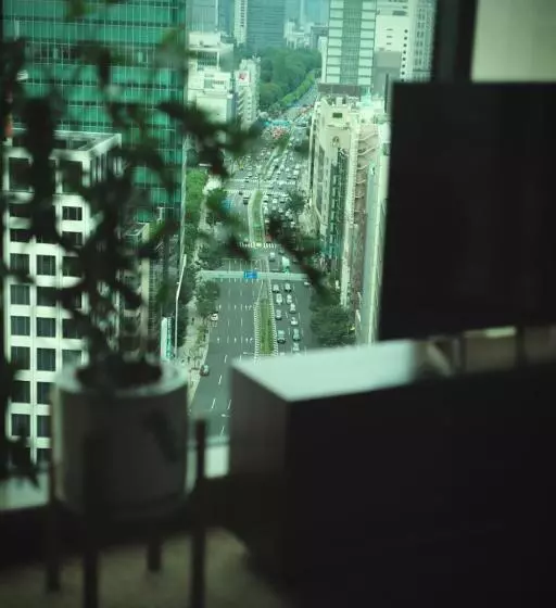 Fotos del hotel The Aoyama Grand:  11