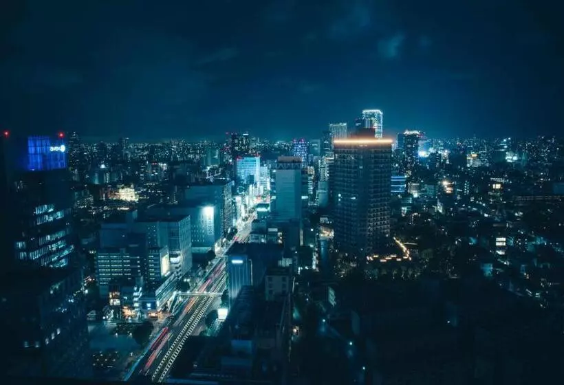 Fotos del hotel The Aoyama Grand:  15