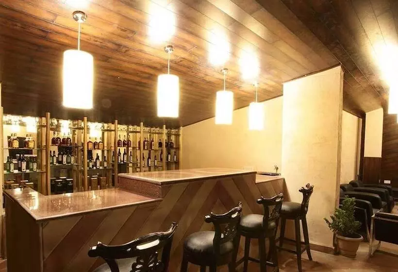 Fotos del hotel Pride De Vivendi Resort Manali:  4