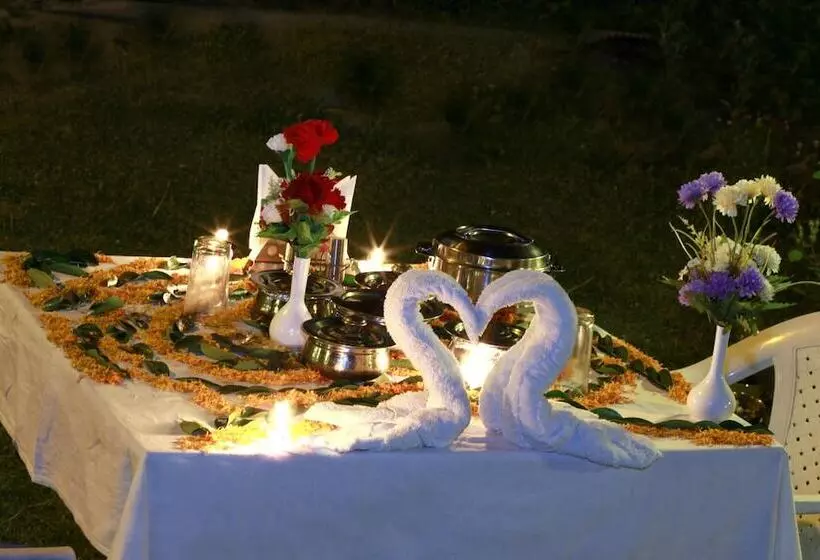 Fotos del hotel Pride De Vivendi Resort Manali:  8