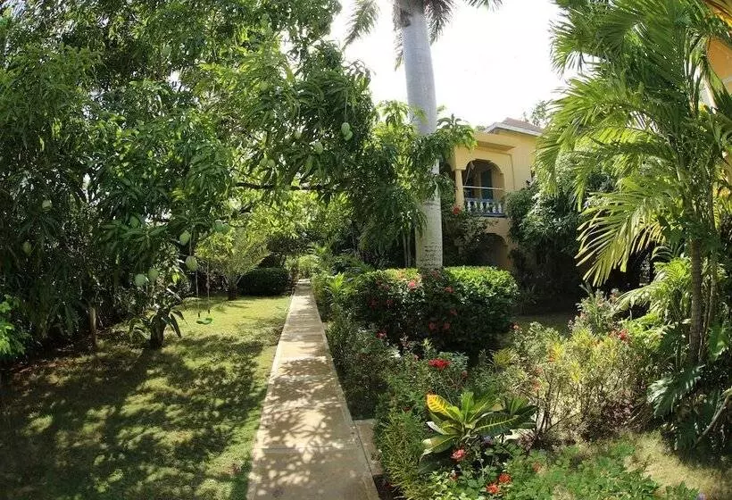 Fotos del hotel Seastar Inn:  15